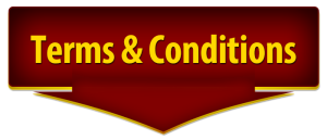 term n conditions